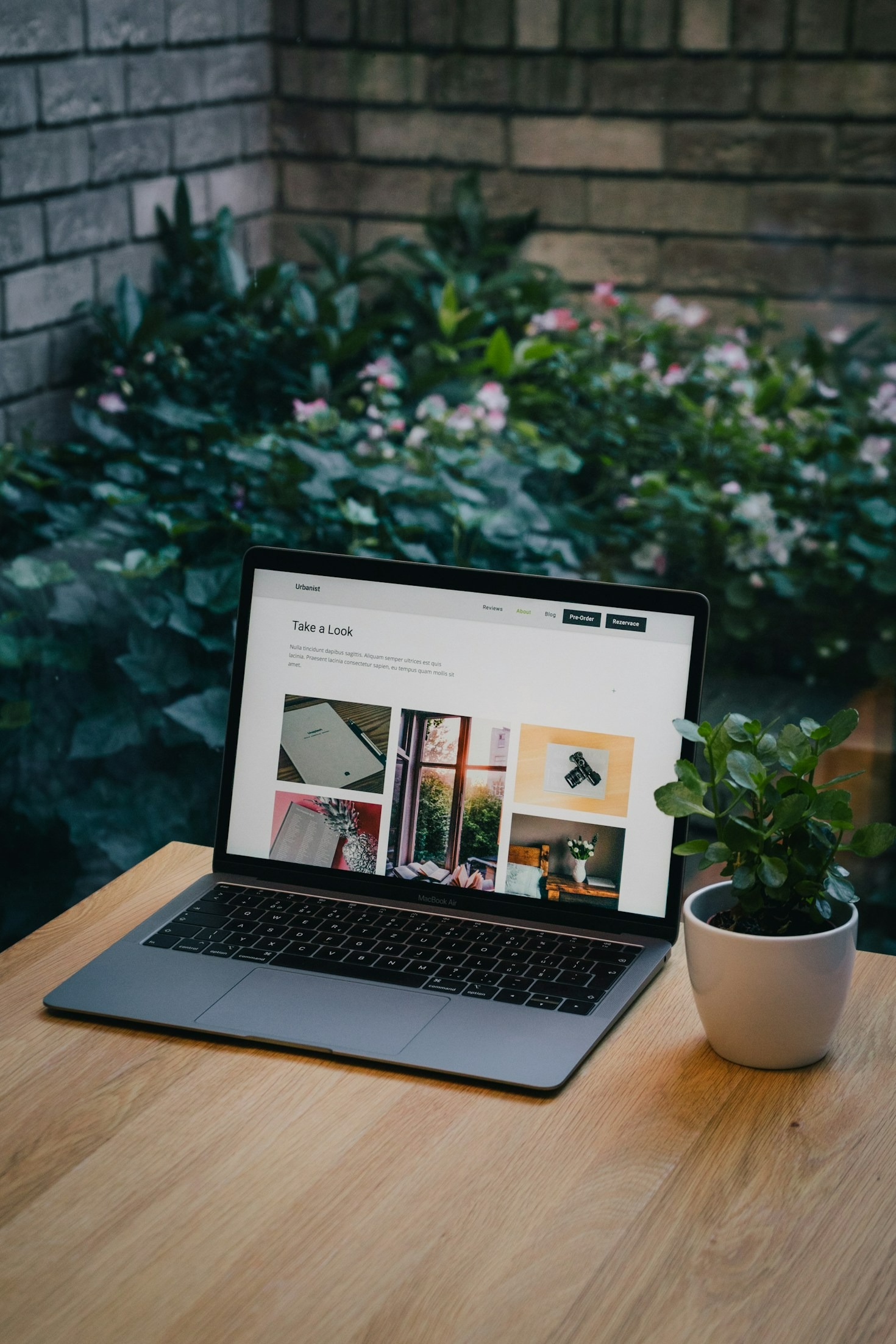Transforming a Blank Page into Engaging Content